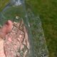 Vintage glass carafe