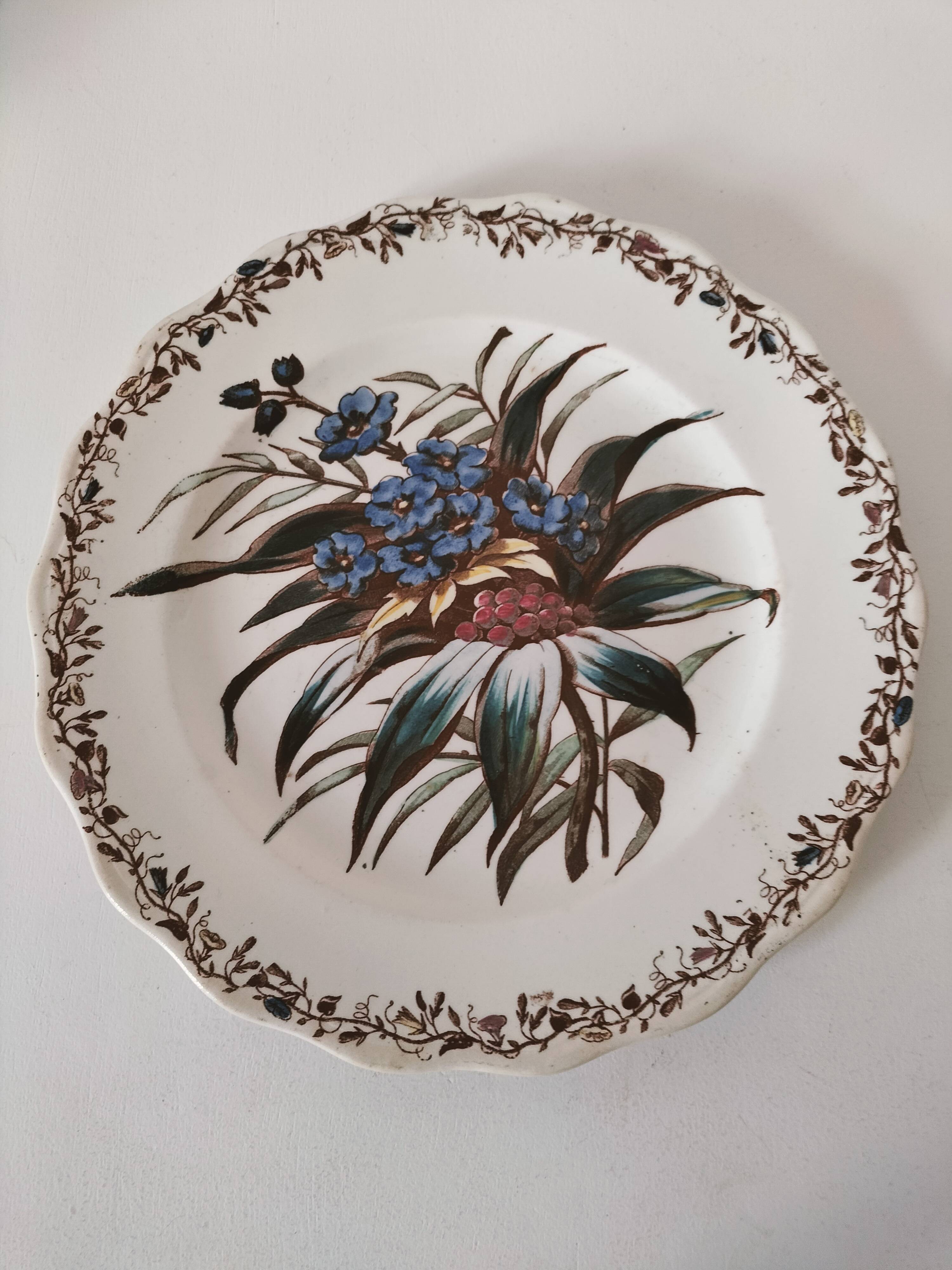 Sanejouand & Graves Clairefontaine plate, polychrome Tavia decoration