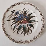 Sanejouand & Graves Clairefontaine plate, polychrome Tavia decoration