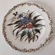 Sanejouand & Graves Clairefontaine plate, polychrome Tavia decoration