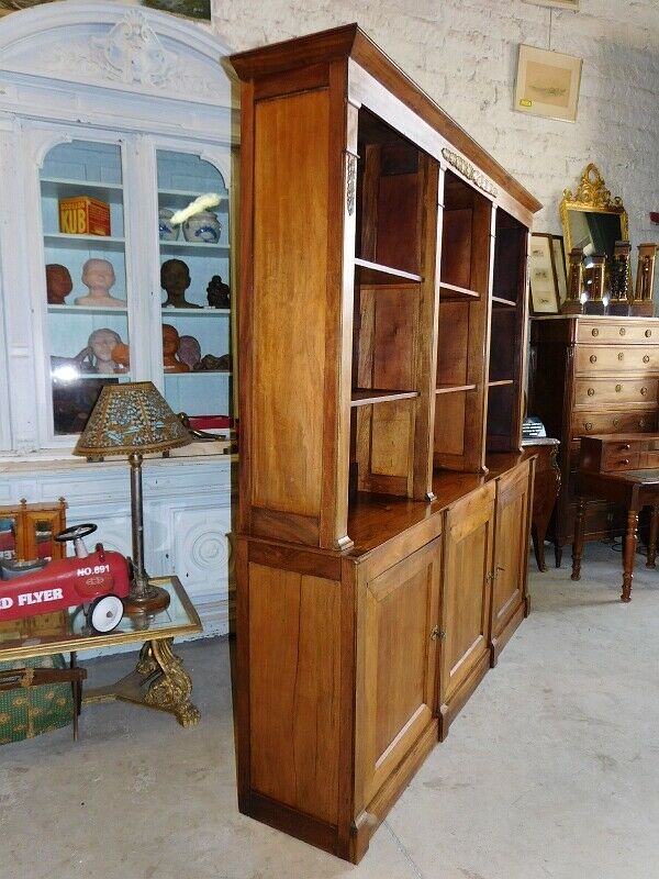 Large bibliothic 3 low-door walnut