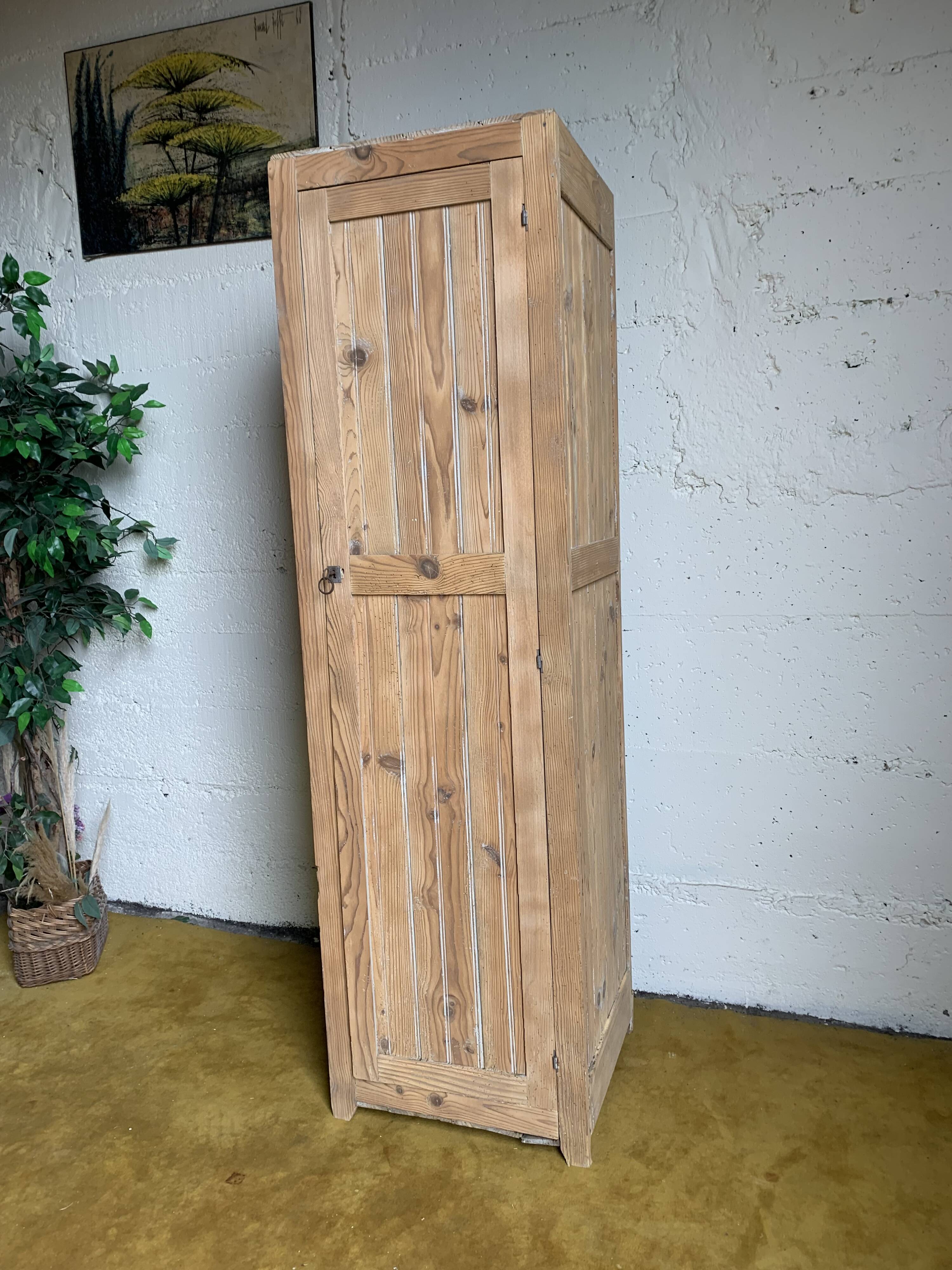 Wardrobe with 1 raw wood door