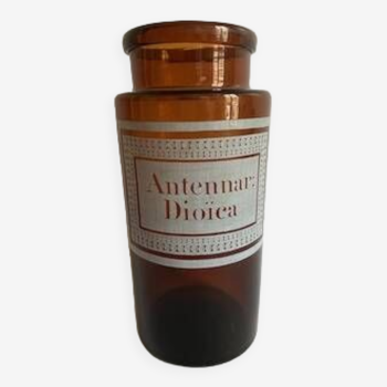 Flacon ambré d'apothicaire - Antennar Dioïca