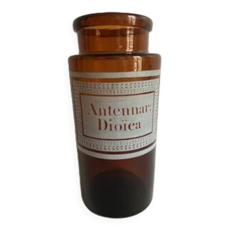 Amber apothecary bottle - Antennar Dioïca