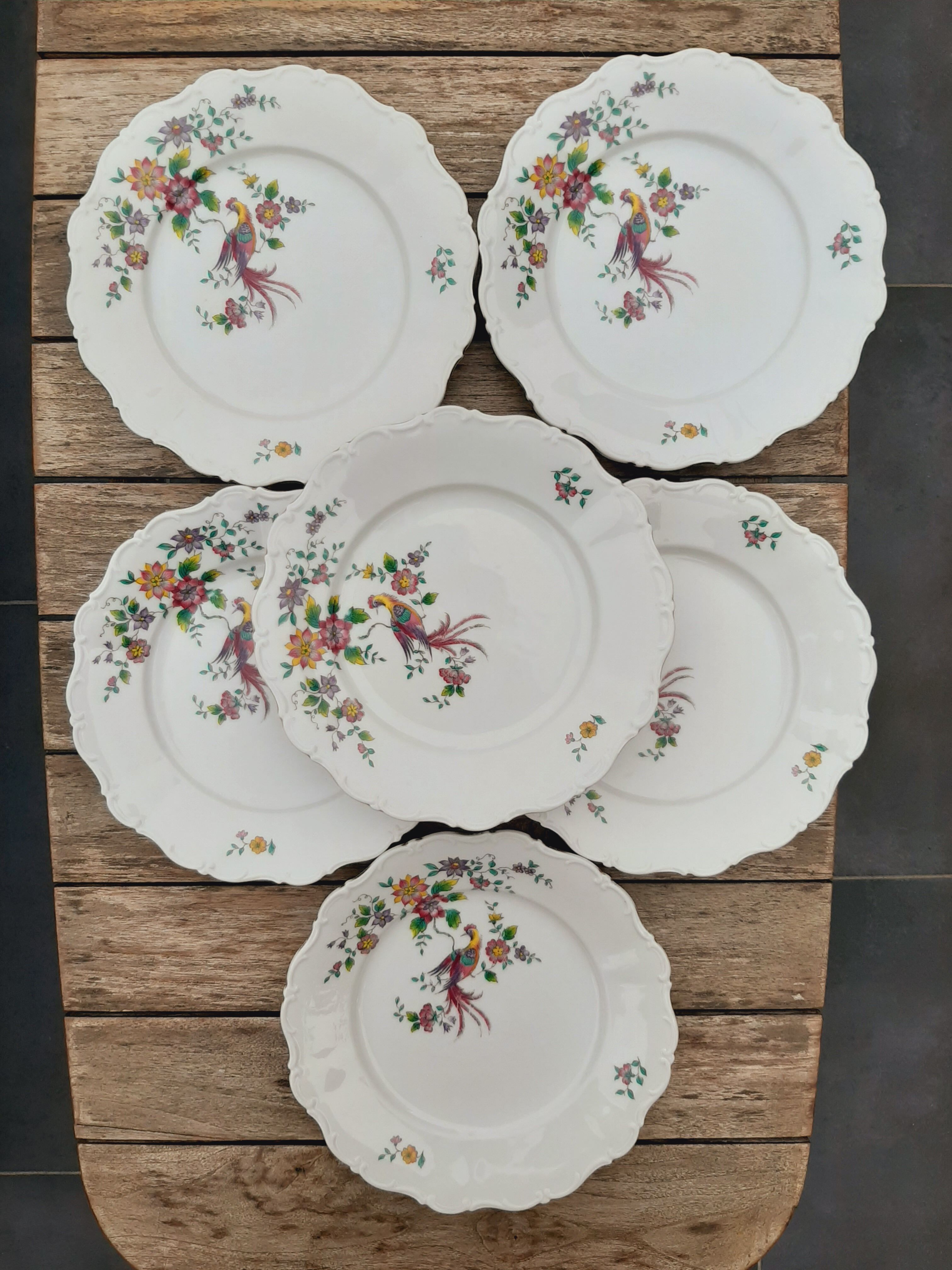 6 porcelain plates Bird Seltmann Weiden