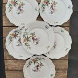6 porcelain plates Bird Seltmann Weiden