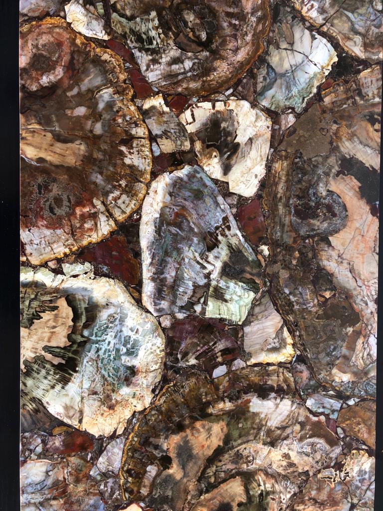Coffee table with petrified wood top