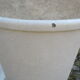 Suite of 6 dining chairs 50'S s imitation gray leather