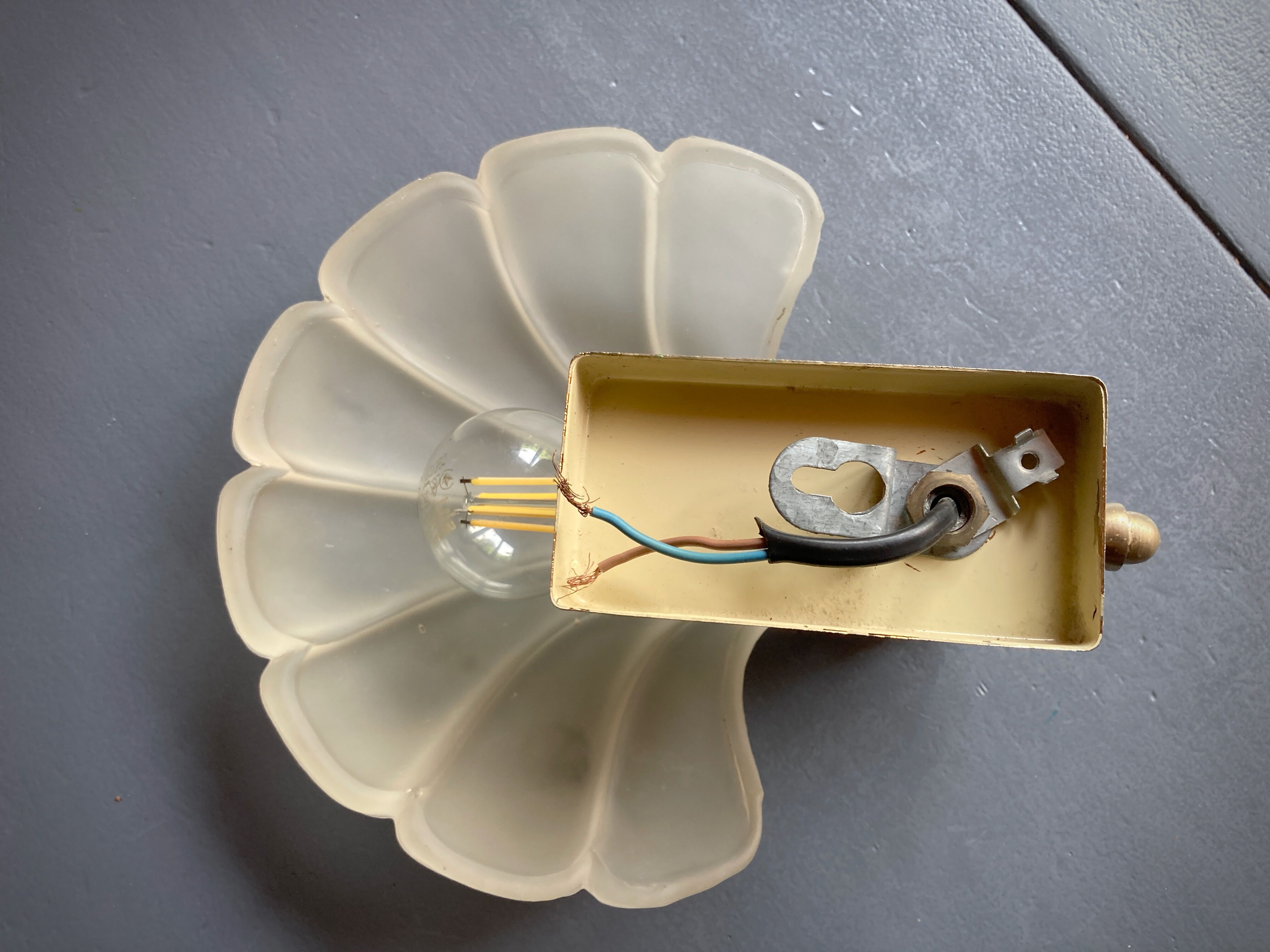 Frosted glass shell wall lamps