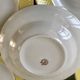 lot of 6 hollow plates Moulin des Loups textured canary yellow 50s