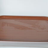 Platex tray
