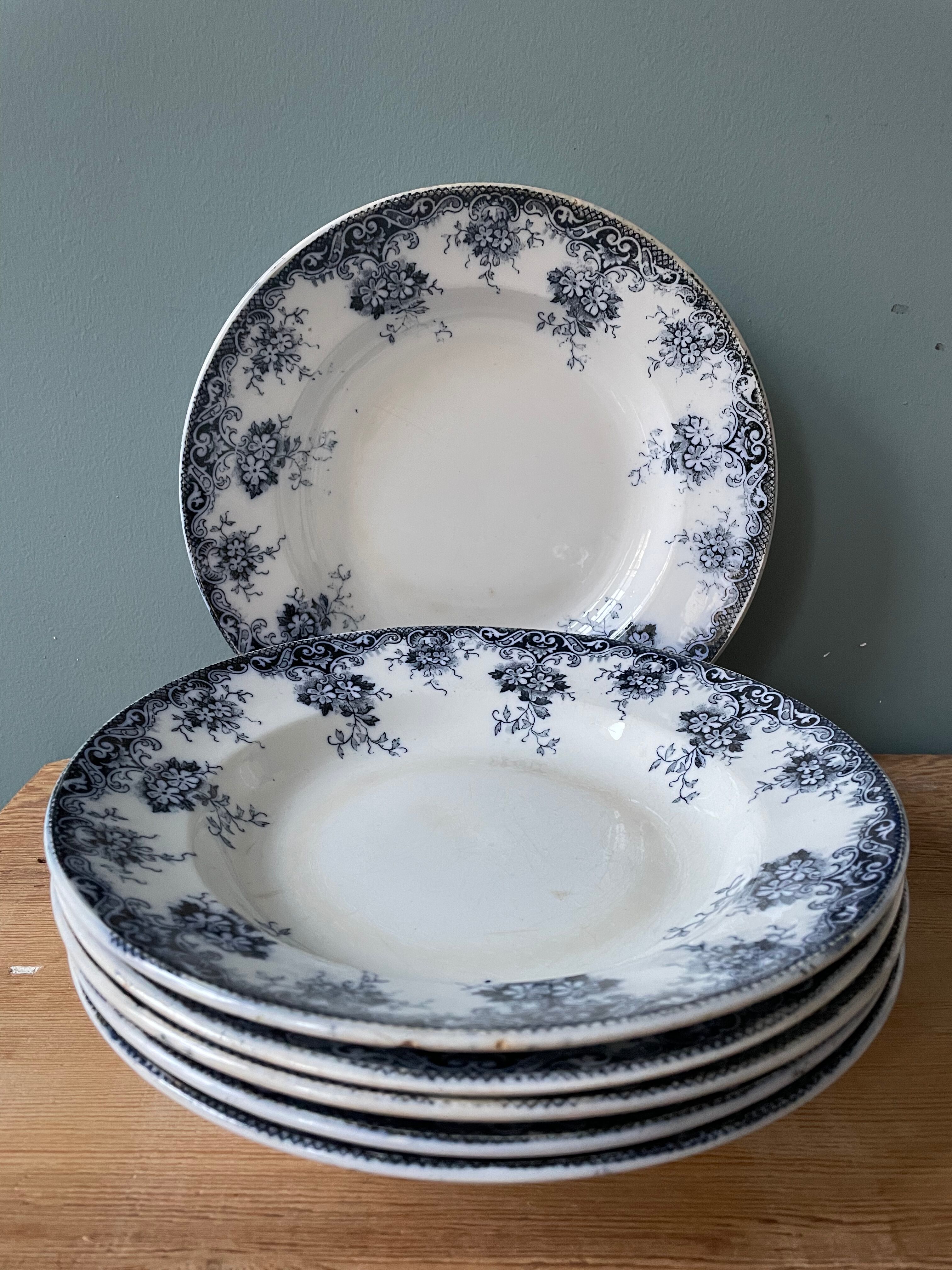Set of 6 hollow plates Terre de Fer St Amand & Hamage