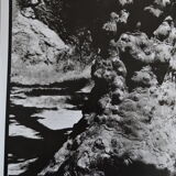 Anonymous silver photo tree circa 1970