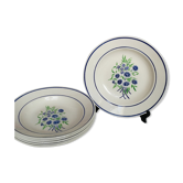 6 old Badonviller organic plates francine blue and green flowers in the stencil