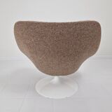 Set of 2 F557 Lounge Chairs by Pierre Paulin for Artifort, 1960s