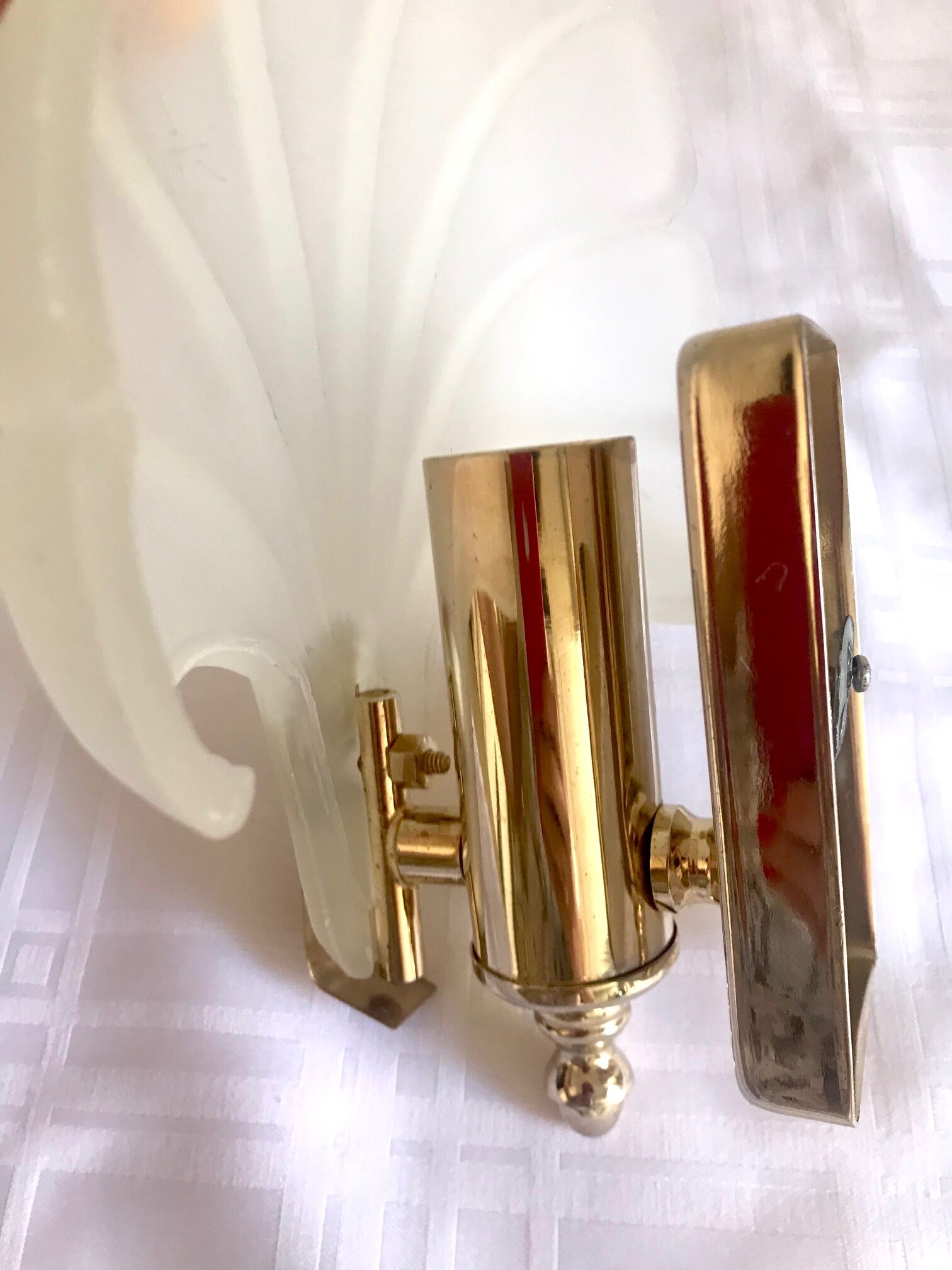 Pair of shell sconces