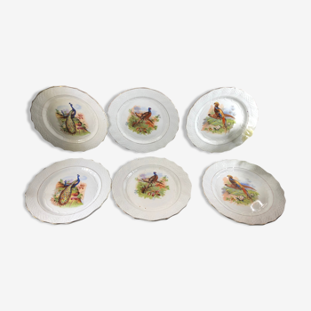 6 dessert plates moulin des loups decor birds pheasants peacocks