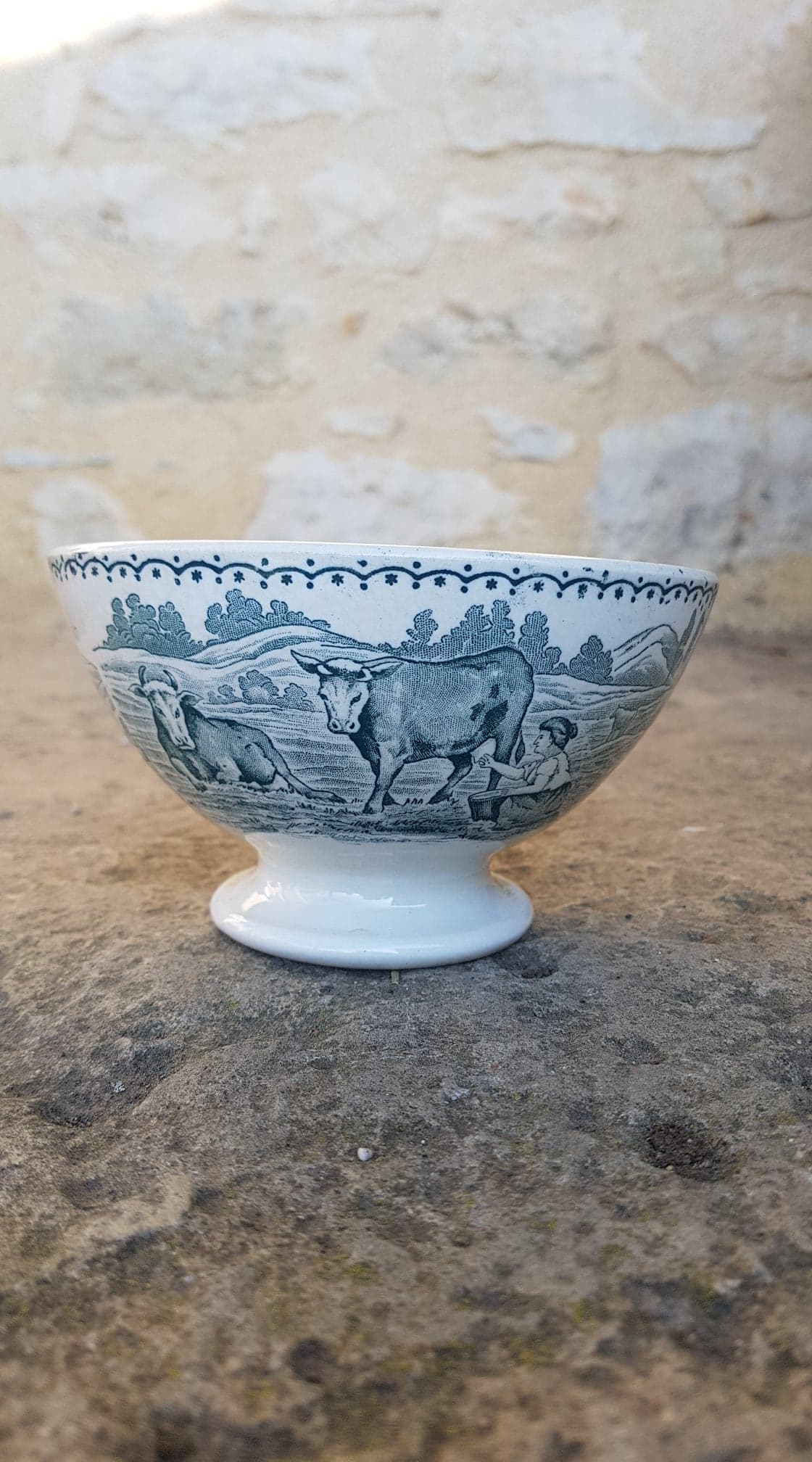 Bowl Moulin Des Loups & Hamage model Dairy