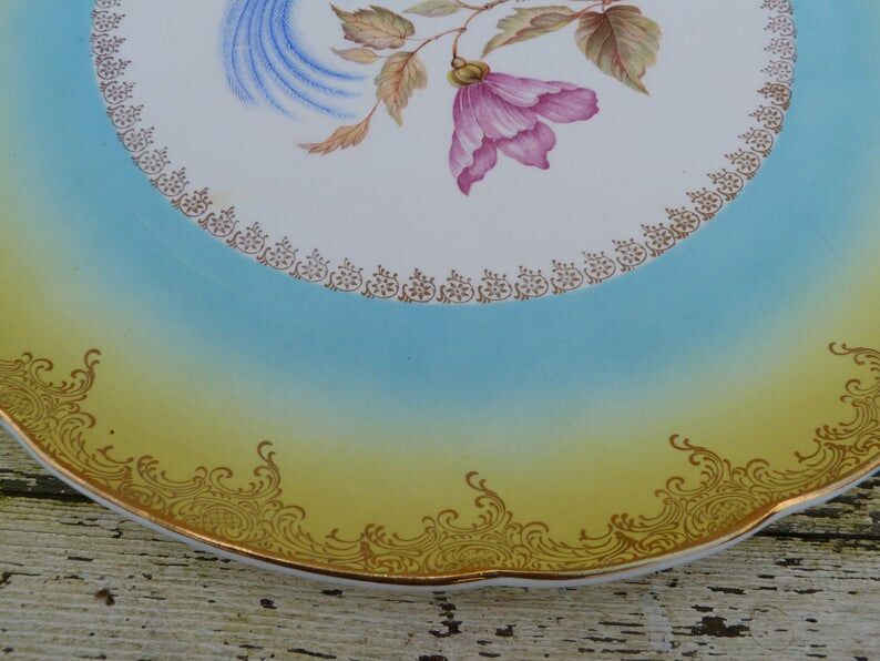 Large round dish 1900 Digoin - Sarreguemine Bird of the Islands