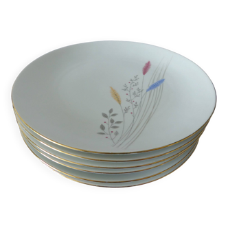 Assiettes plates porcelaine allemande Bareuther