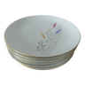 Assiettes plates porcelaine allemande Bareuther
