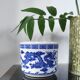 Cache-pot / Vintage porcelain brush pot