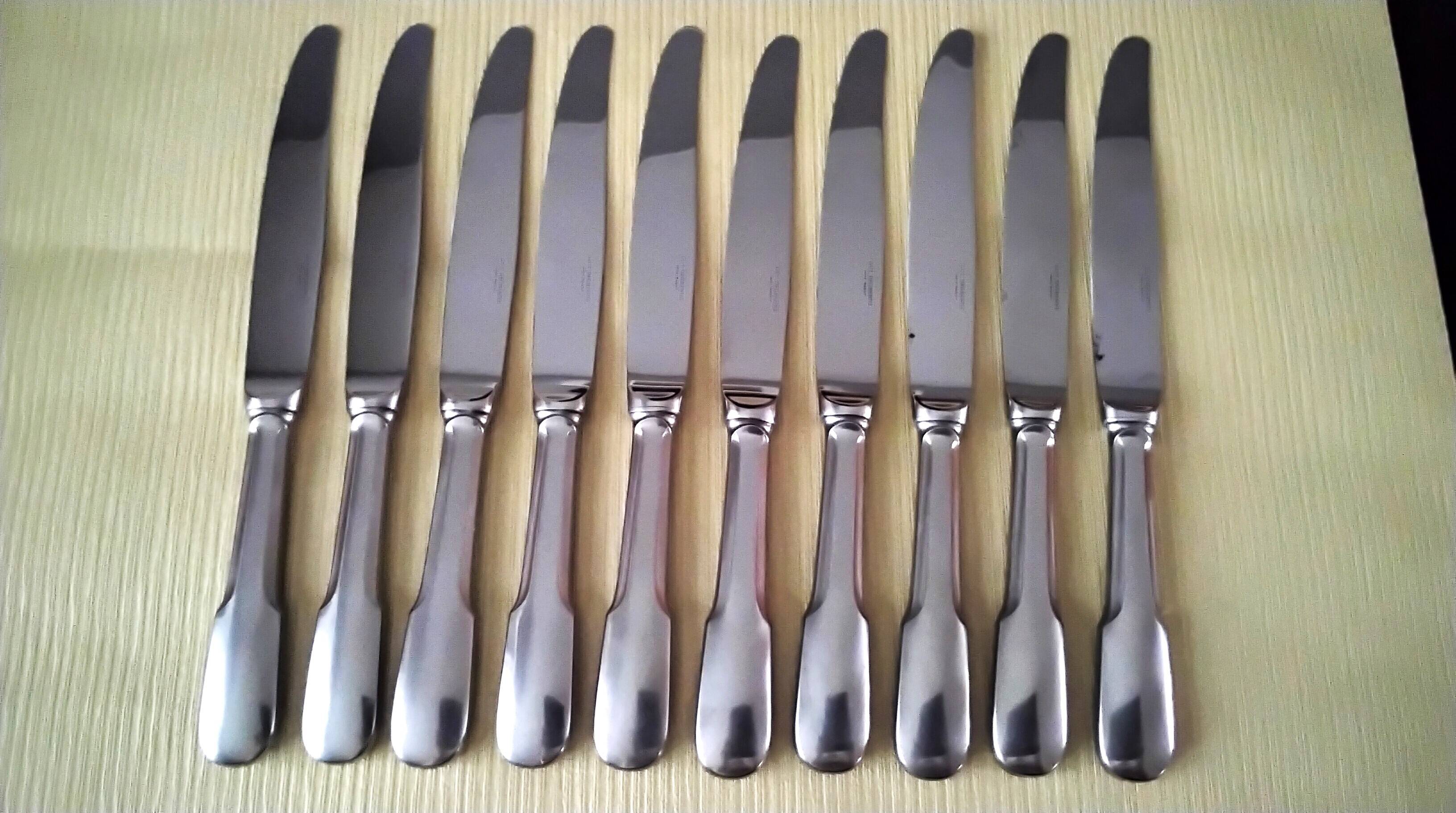 10 Guy Degrenne Table Knives, Old Paris Model