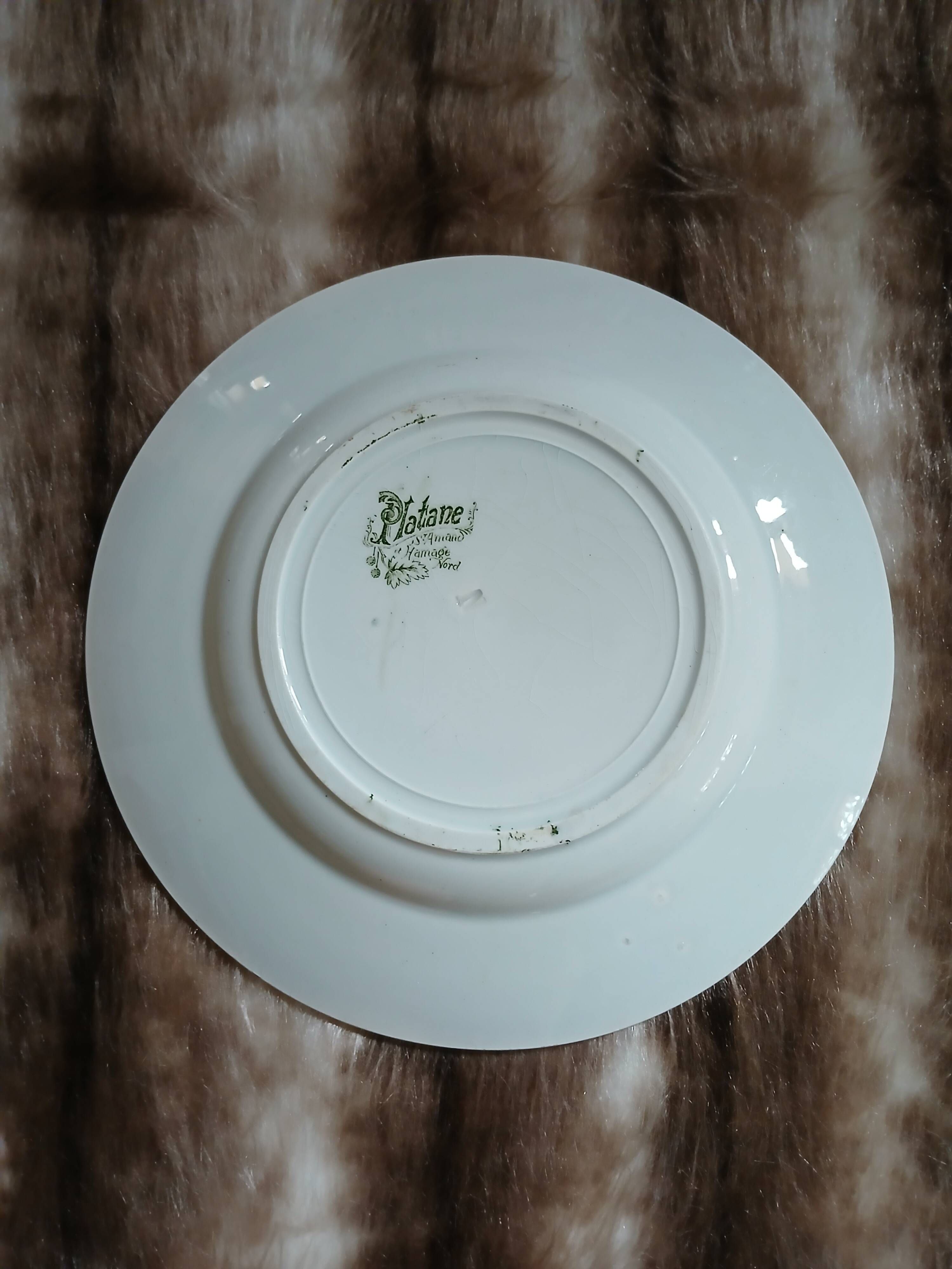10 antique flat plates in ironstone