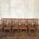 Rare series of 50 chairs Baumann fanett vintage design 1950 1960