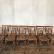 Rare series of 50 chairs Baumann fanett vintage design 1950 1960