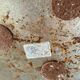 Lampadaires, liseuses en bronze Massive