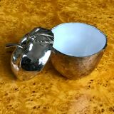 Vintage ice cube apple