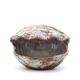 Ceramic shell emptier by Kostanda, Vallauris, 1960s
