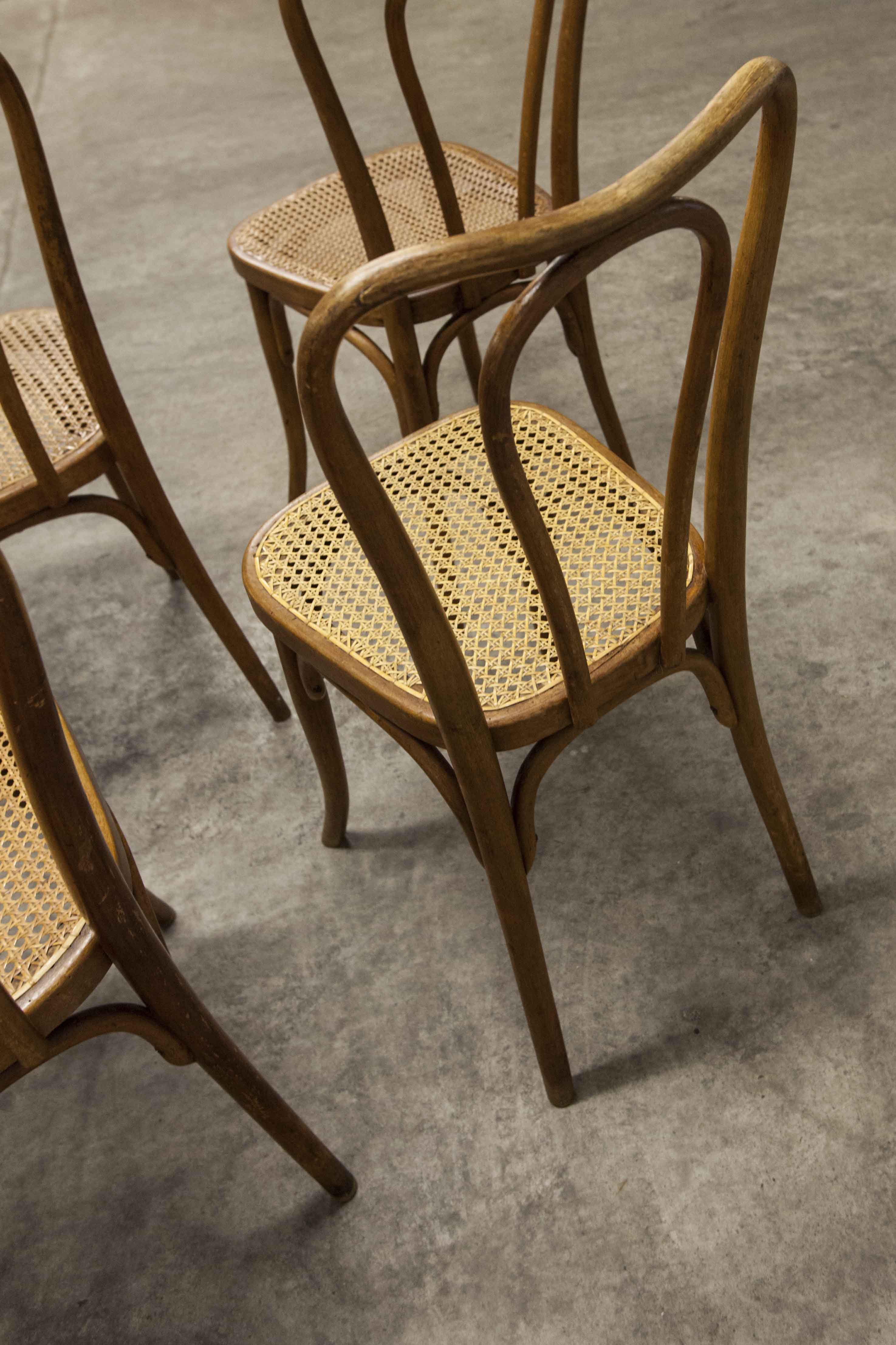 Set of 6 chairs bistro j&j kohn 1900 seat cannage