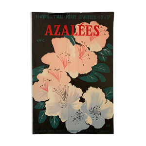 Affiche azalees eric - paris
