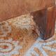 Antique office furniture