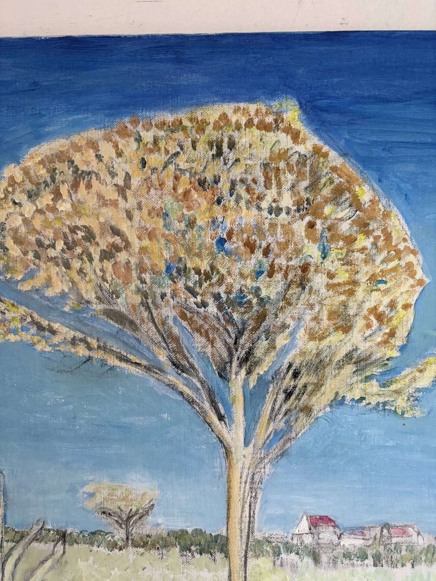 Modern Provence landscape