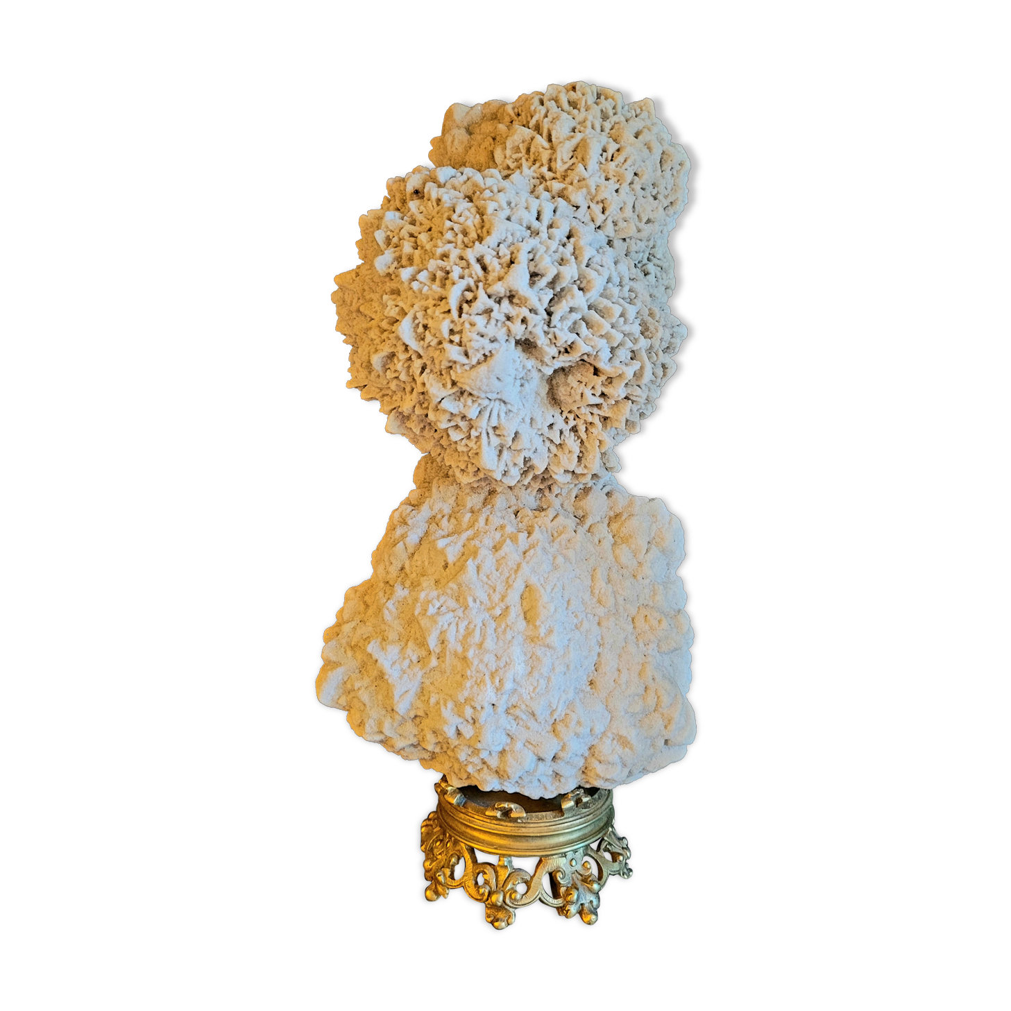 Cabinet of curiosities Naturalia and Minerals Gogotte de Fontainebleau