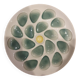 Salins oyster dish