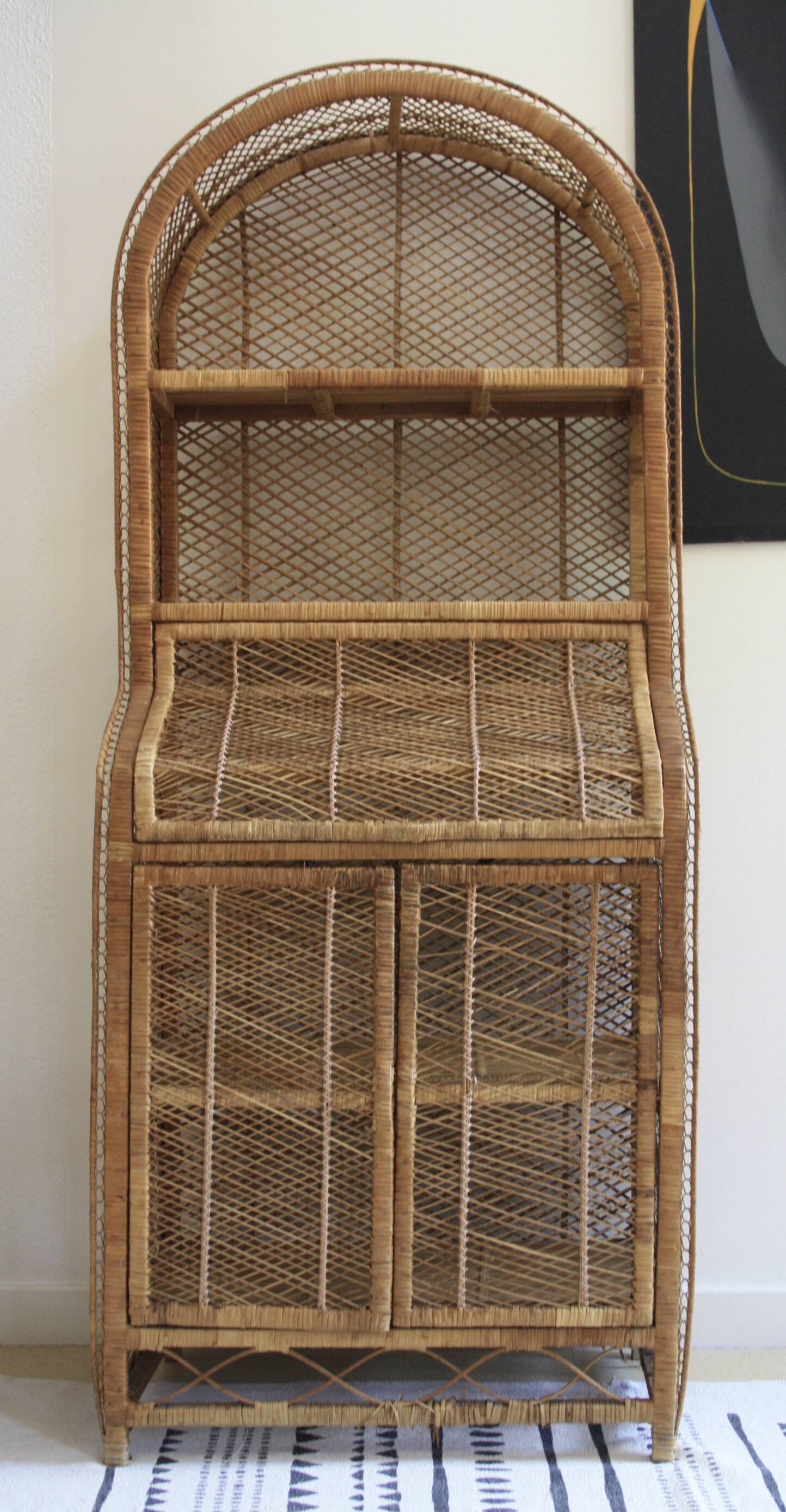 Rattan and woven wicker library
