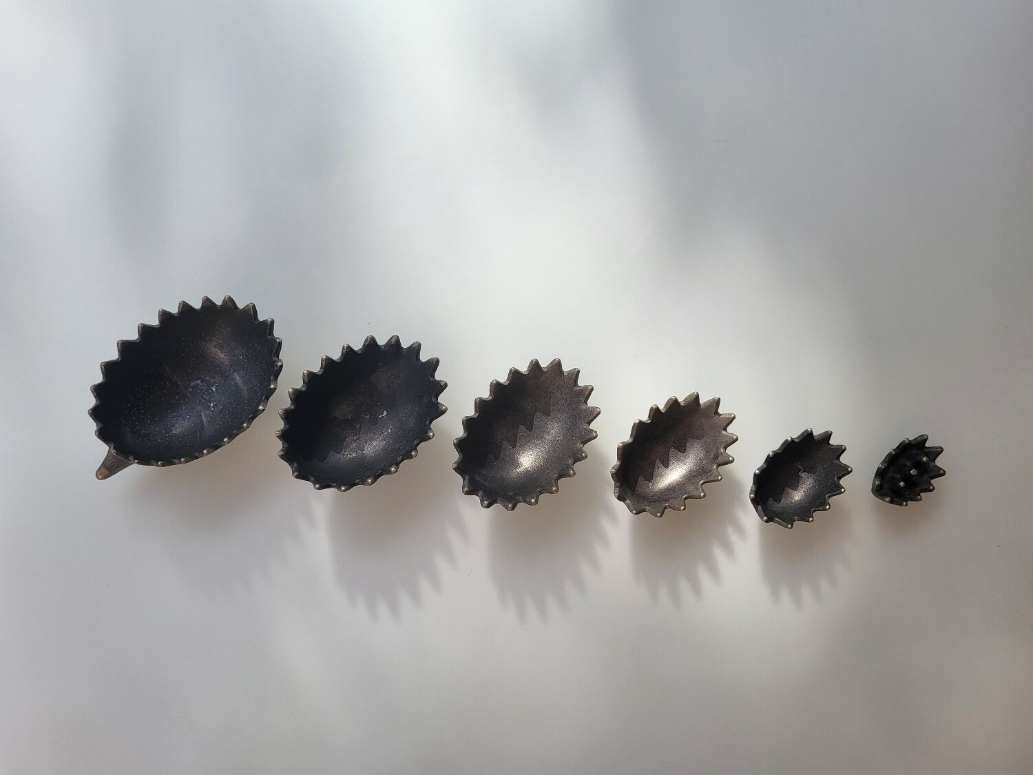 Hedgehog Walter Bosse