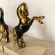 Greenhouse books horses regulates and marble