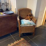 Fauteuil en rotin avec détails en bois