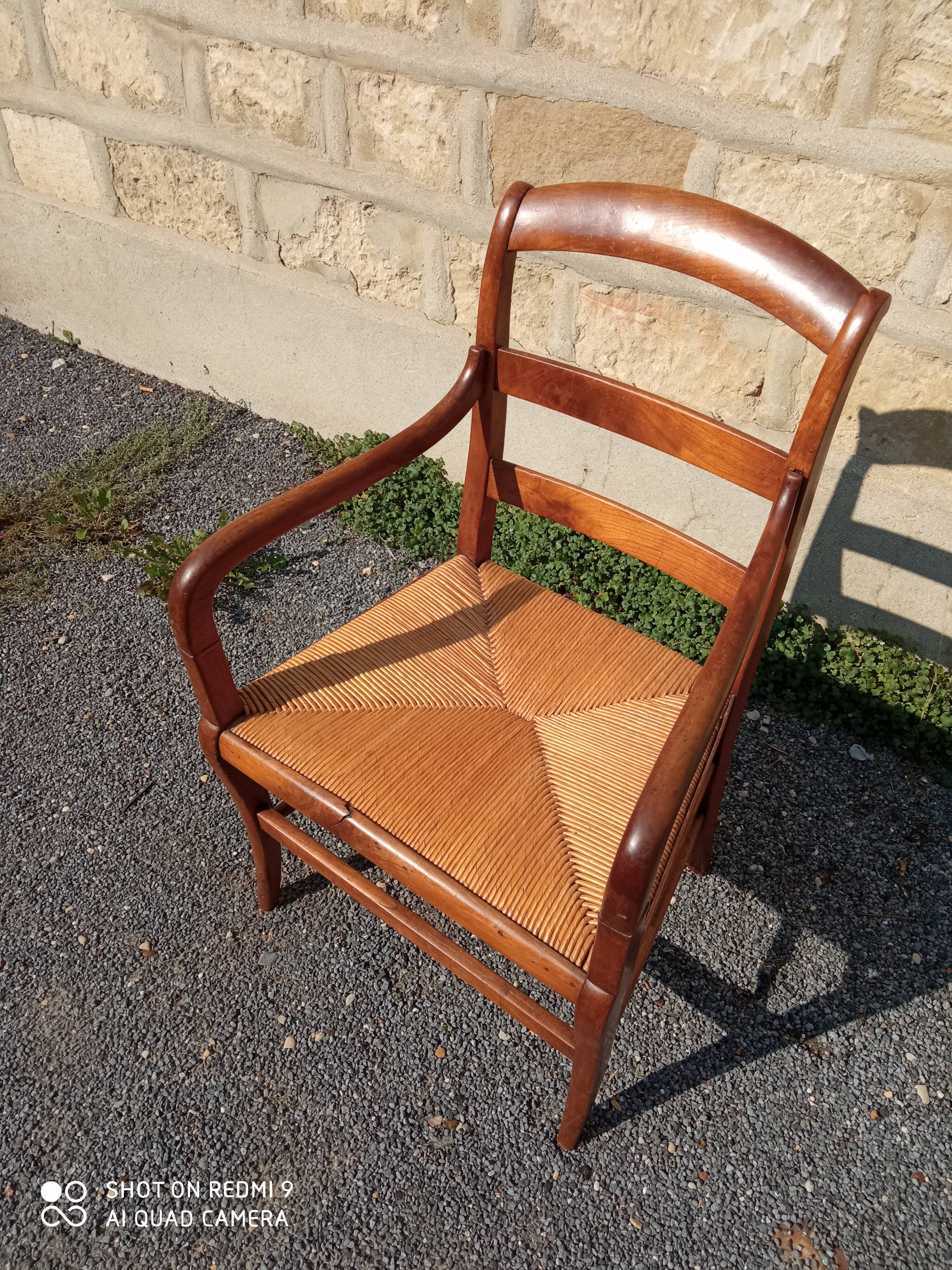 Walnut armchair