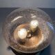 Flush glass shade with bubble pattern and brass base by Hillebrand, 1960s, Germany.