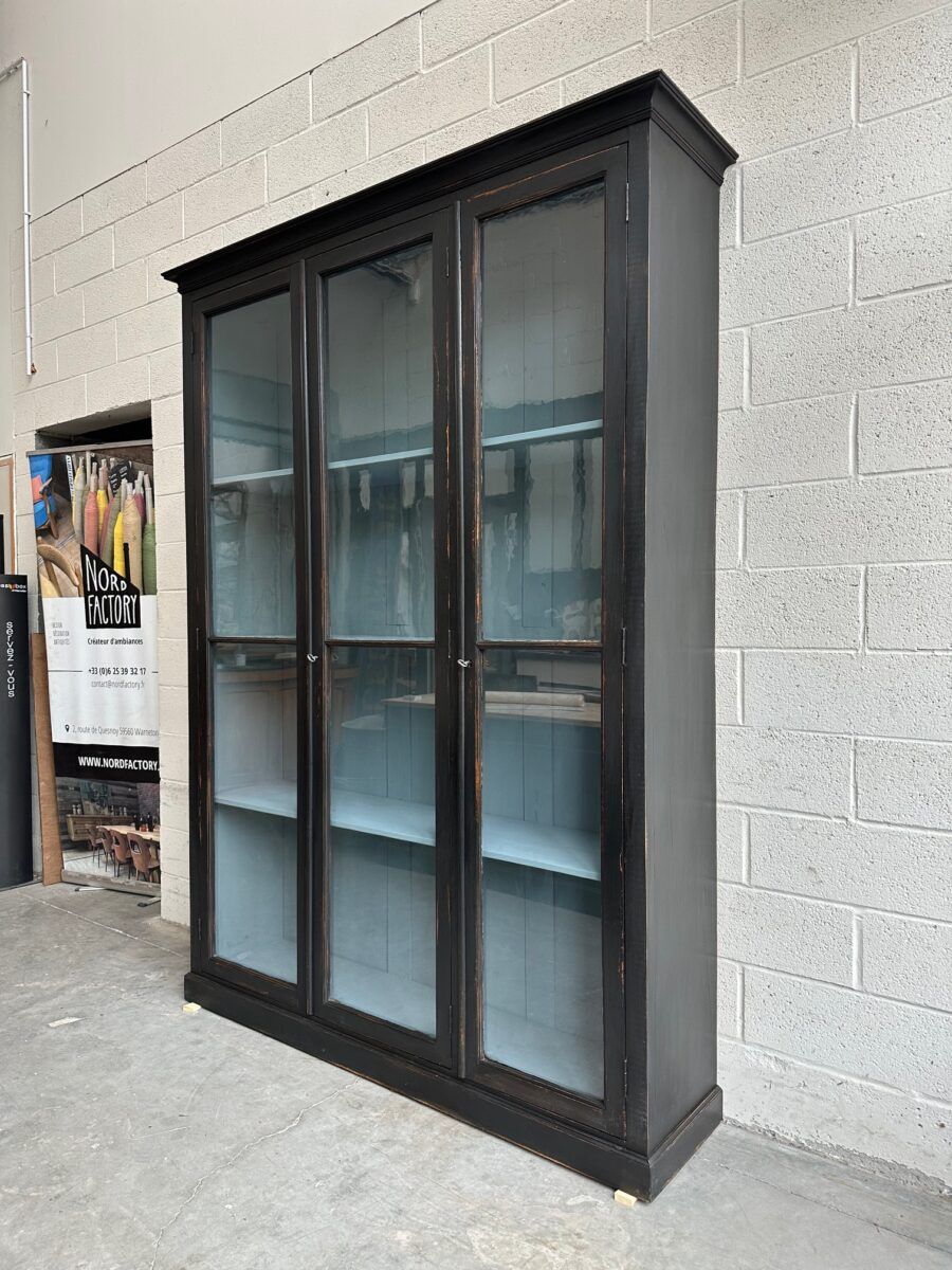 Vitrine de musée fin XIXème