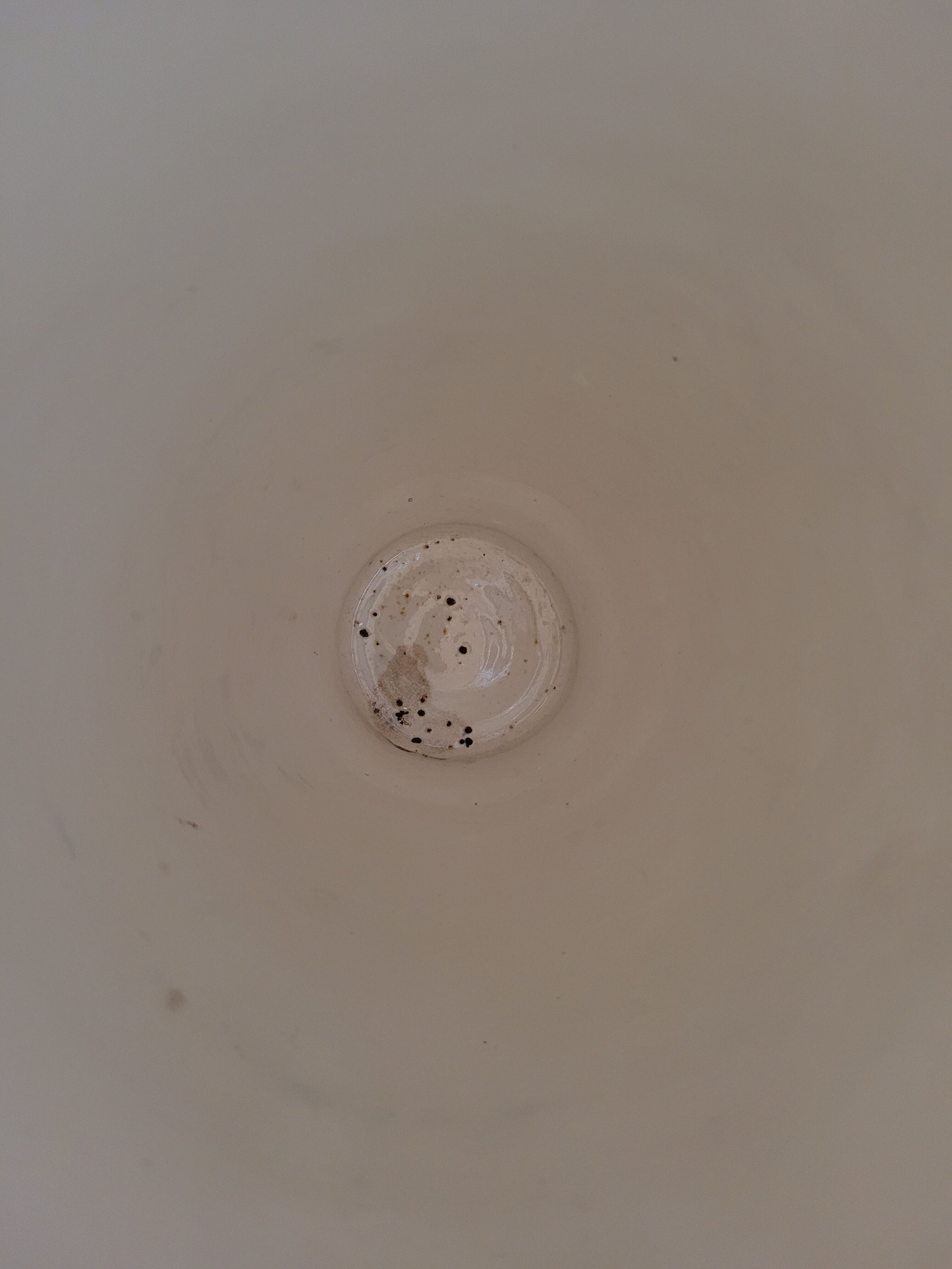 Art Nouveau ceramic vase 1900