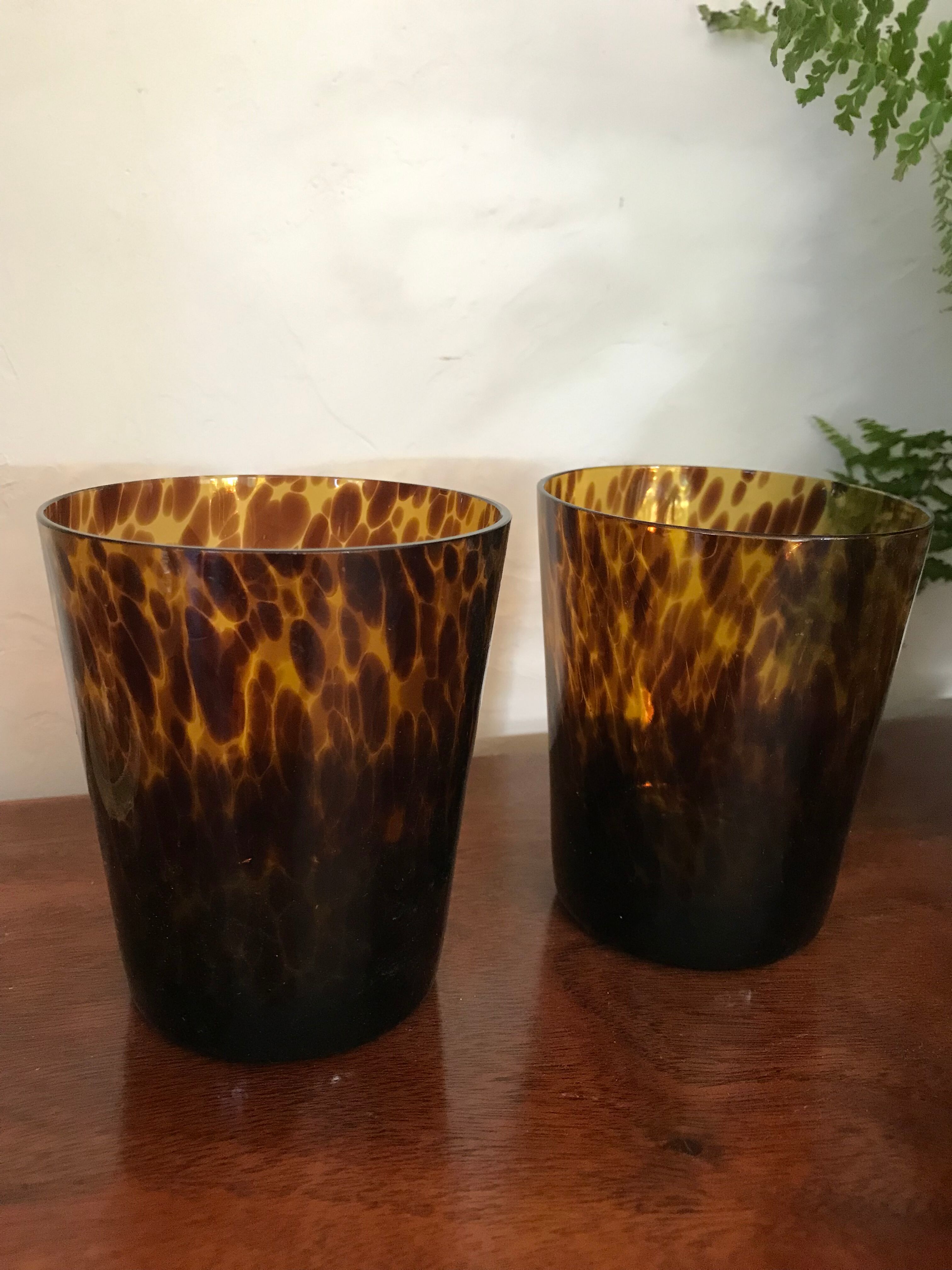 Six glasses tortoiseshells