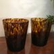 Six glasses tortoiseshells