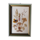 Herbier